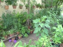 DSC00688