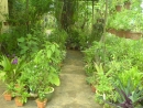 DSC00687