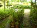 DSC00689