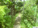 DSC00690