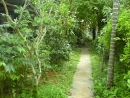DSC00691
