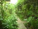 DSC00692