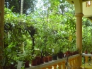 DSC00696