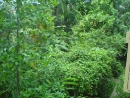 DSC00700